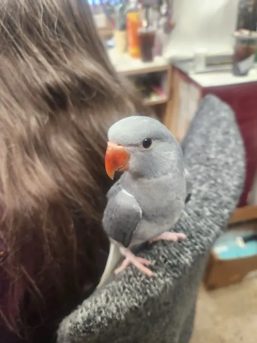 Bill's Birds & Pets Picture 8