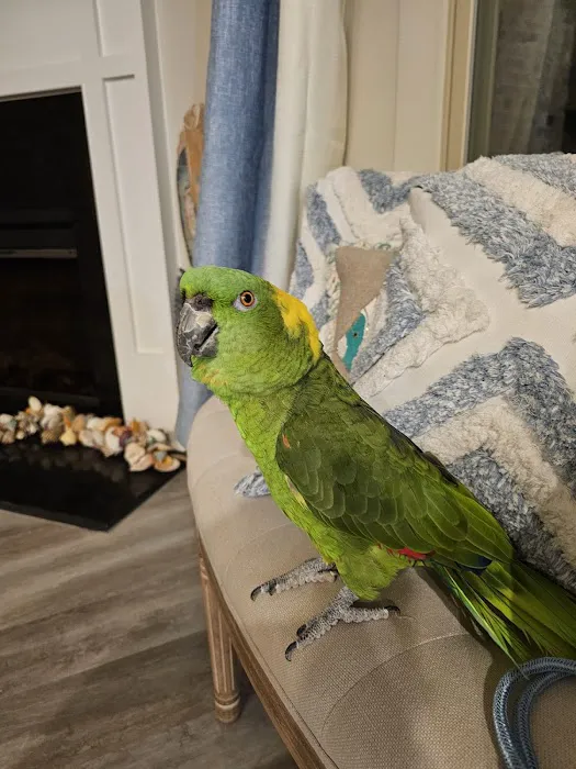 Bill's Birds & Pets Picture 1
