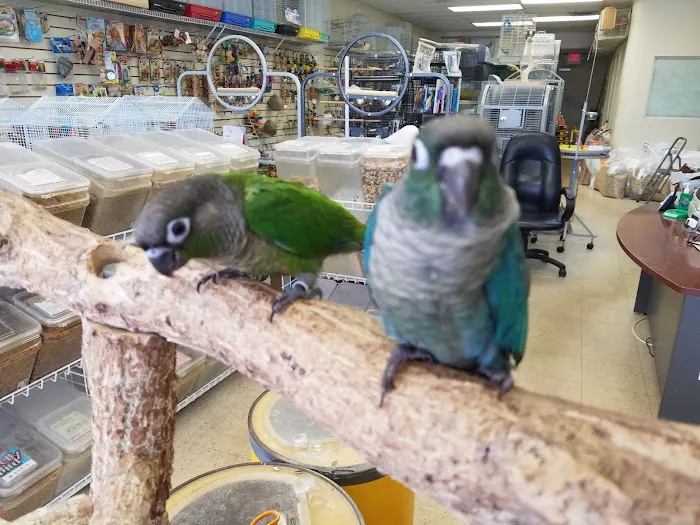 Bill's Birds & Pets Picture 5