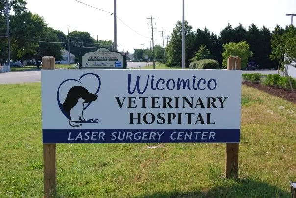 Wicomico Veterinary Hospital Picture 6