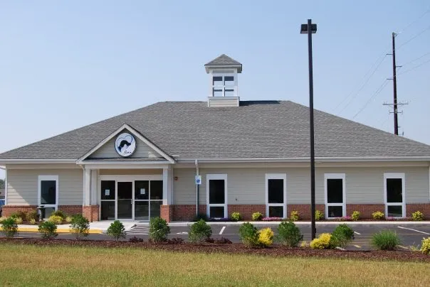 Wicomico Veterinary Hospital Picture 3