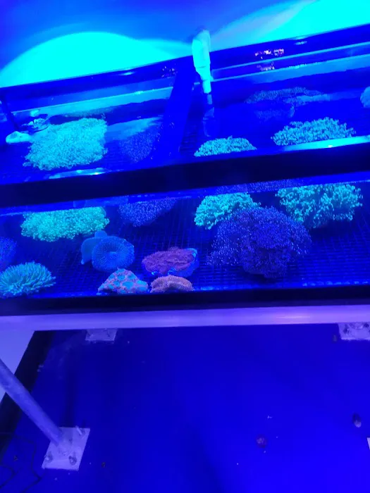 Coral Reef Farm Picture 2