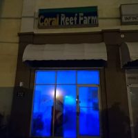 Coral Reef Farm ico