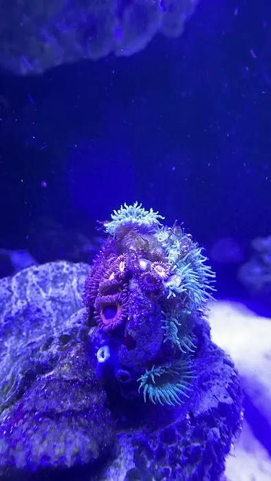 Coral Reef Farm Picture 3