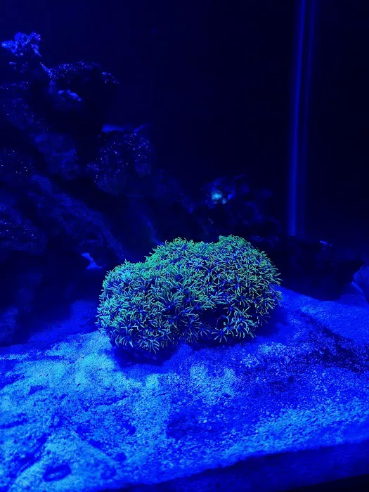 Coral Reef Farm Picture 7