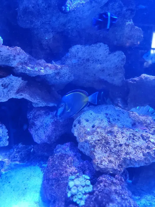Coral Reef Farm Picture 6