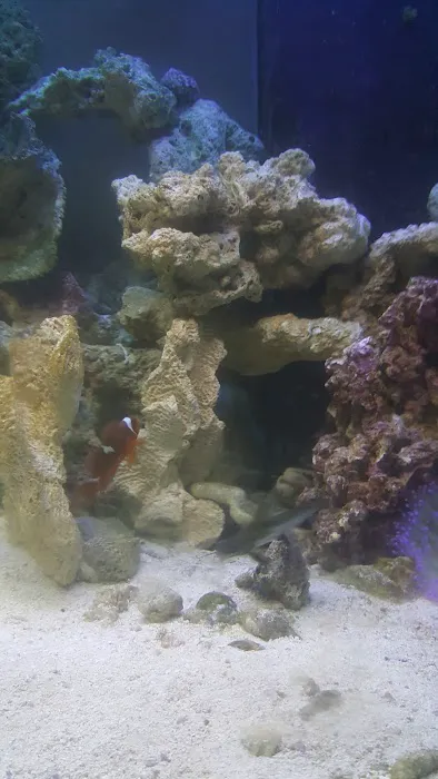 Aquatic Jewels Picture 3