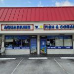 Aquatic Jewels