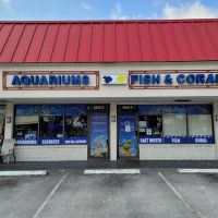 Aquatic Jewels ico