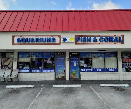 Aquatic Jewels