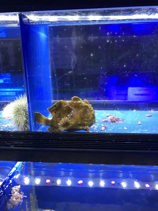 Aquatic Jewels Picture 8
