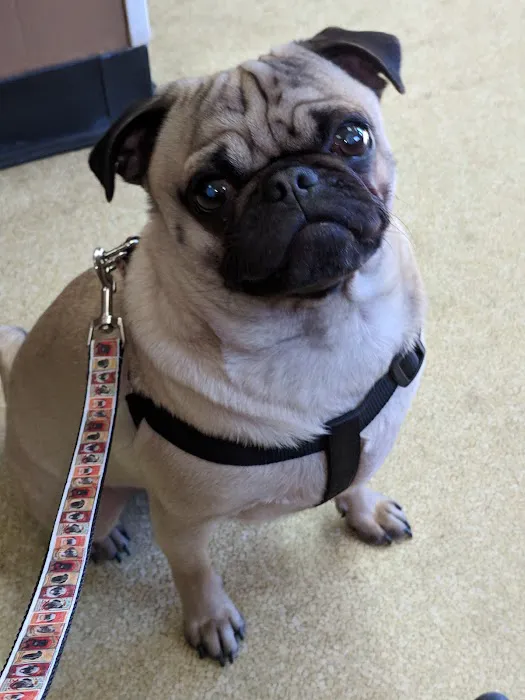 Salisbury Animal Hospital Picture 1
