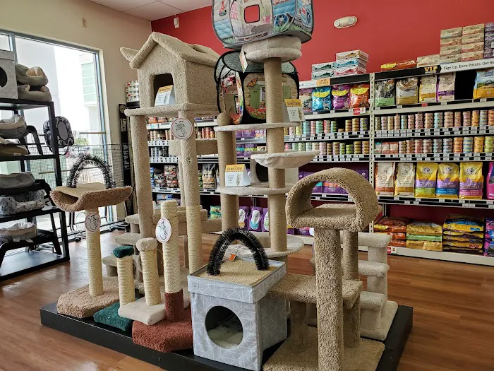 Pet Supermarket Picture 5