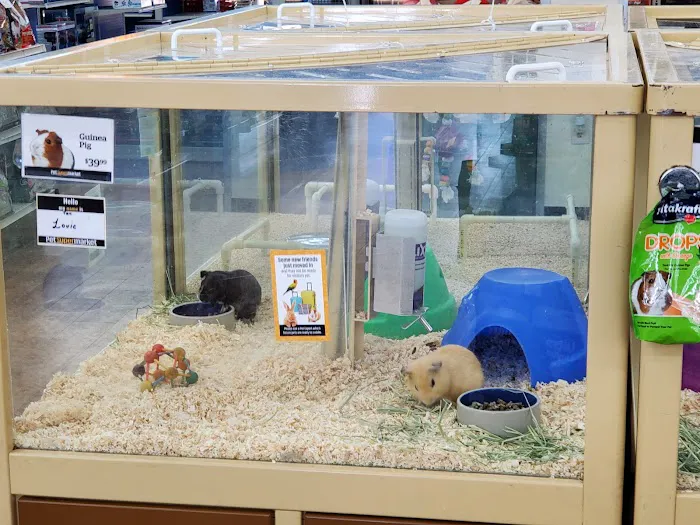 Pet Supermarket Picture 2