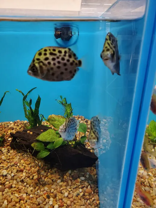 Pet Supermarket Picture 1