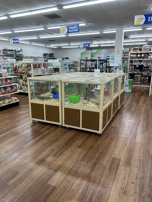 Pet Supermarket Picture 8