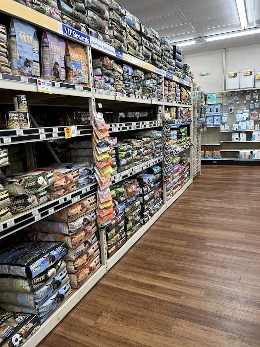 Pet Supermarket Picture 9