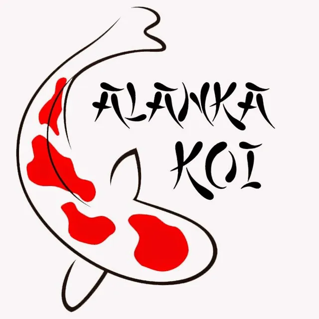 Alanka Koi Picture 1
