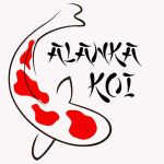 Alanka Koi