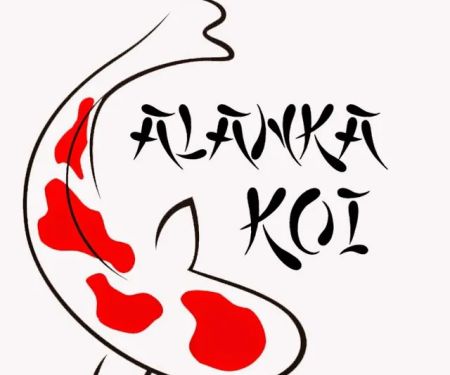 Alanka Koi