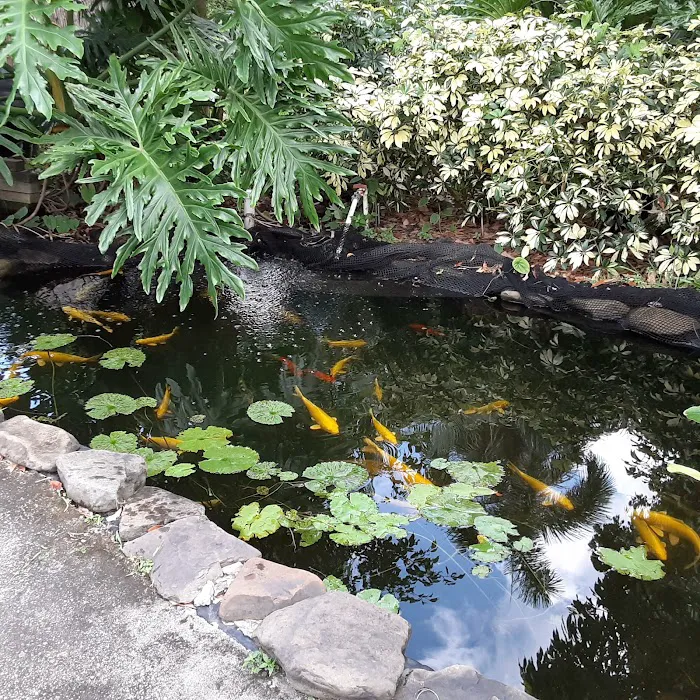 Kodama Koi Garden FL Picture 5