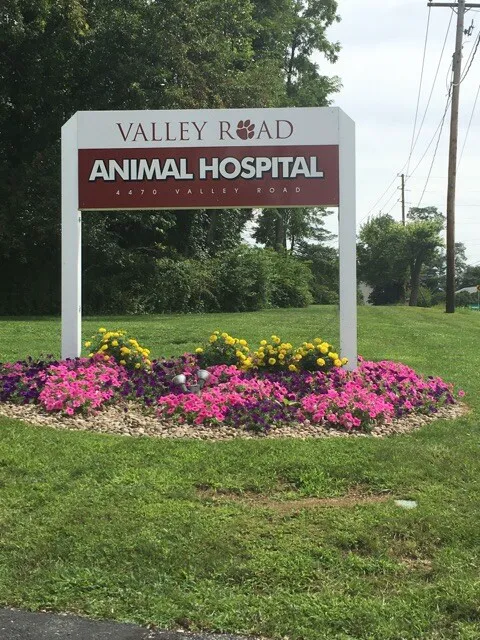 Valley Road Animal Hospital Picture 4