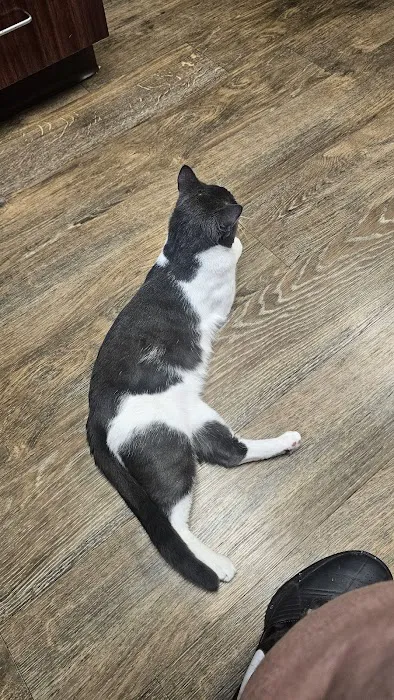Valley Road Animal Hospital Picture 6