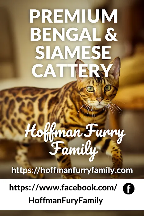 Hoffman Furry Family Picture 3