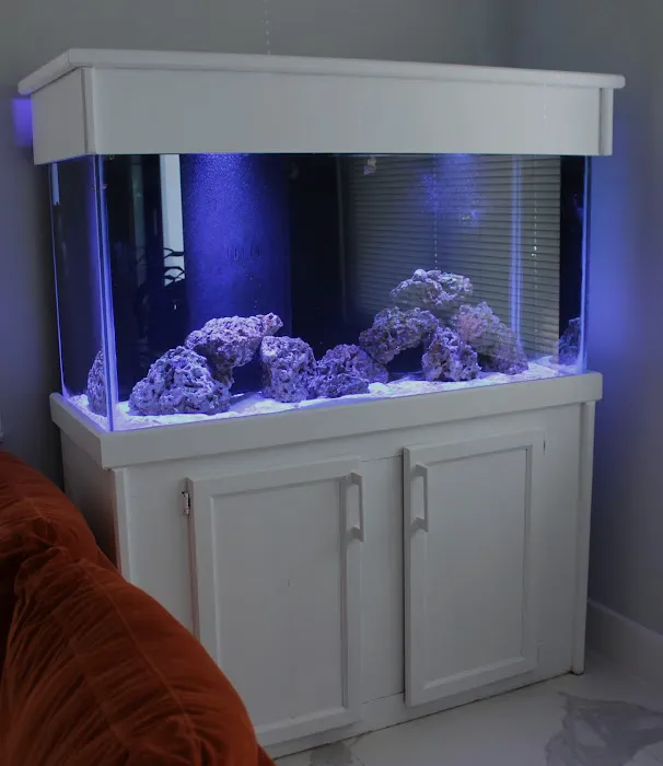 Aquarium Reef Creations Picture 7