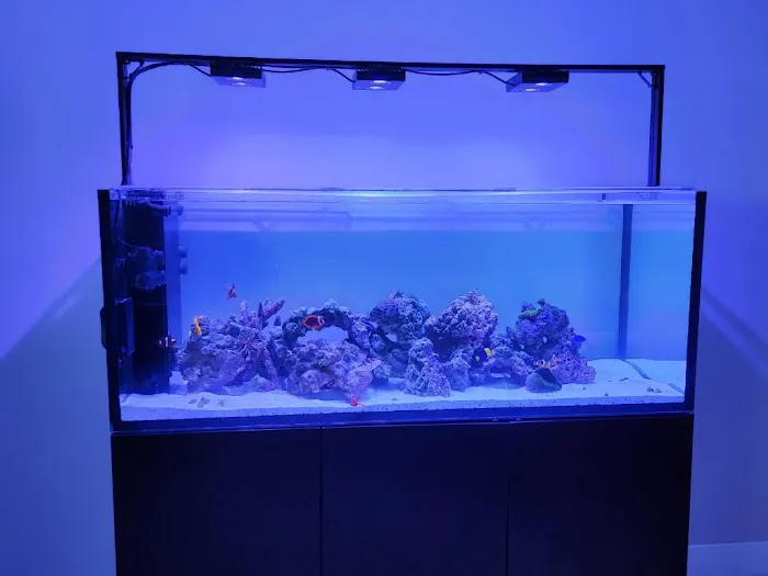 Aquarium Reef Creations Picture 1
