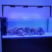 Aquarium Reef Creations ico