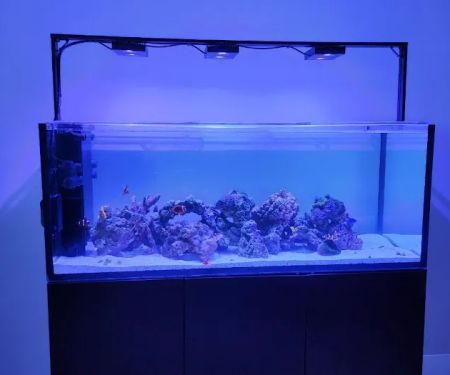 Aquarium Reef Creations