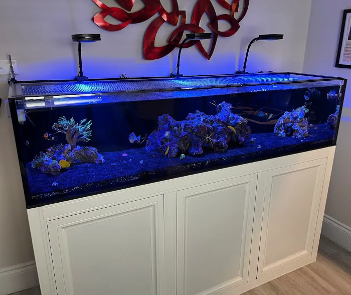 Aquarium Reef Creations Picture 10