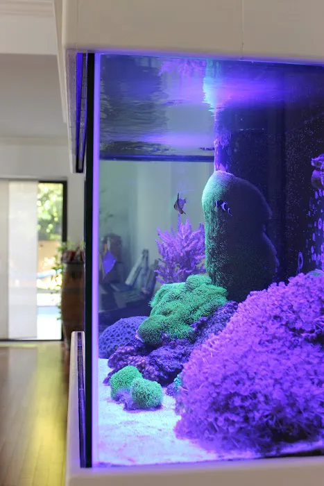 Aquarium Reef Creations Picture 5