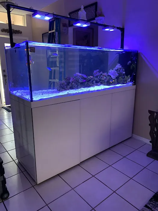 Aquarium Reef Creations Picture 8