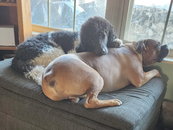 Lambs Gap Animal Hospital Picture 6
