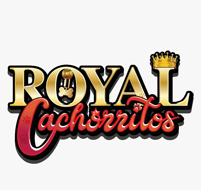 Royal Cachorritos / Puppies / Puppy Picture 7