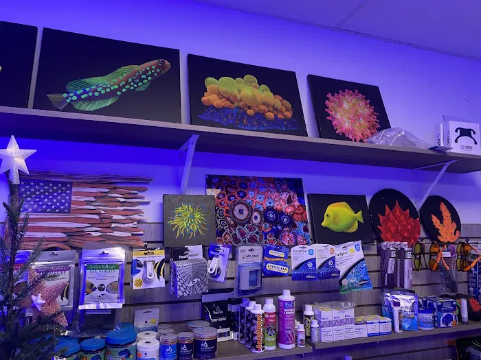 PV Reefs Picture 2