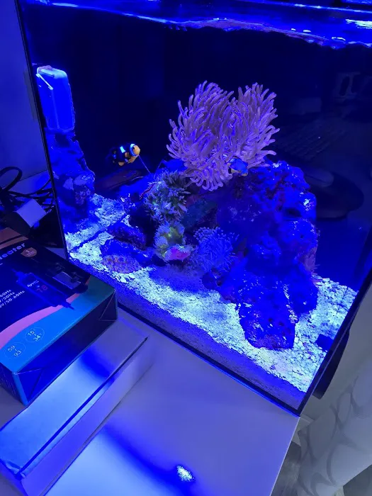 PV Reefs Picture 4