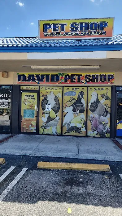 David Pet Shop Picture 3