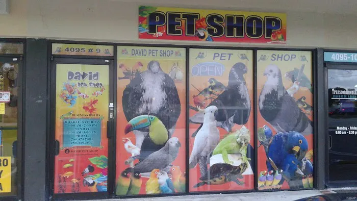 David Pet Shop Picture 1