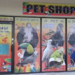 David Pet Shop