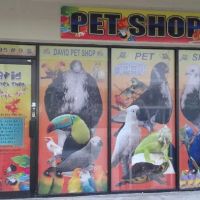 David Pet Shop ico