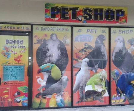 David Pet Shop