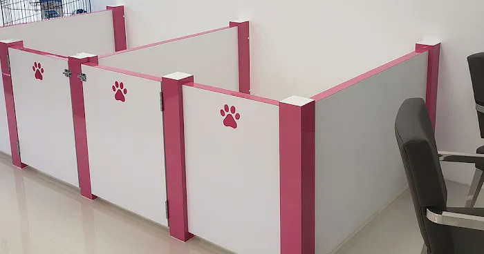 Cute Puppies Picture 2
