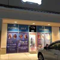 King Of Pet Grooming Puppy Sales ico
