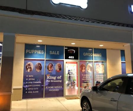 King Of Pet Grooming Puppy Sales