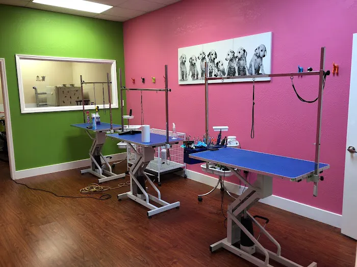 King Of Pet Grooming Puppy Sales Picture 2