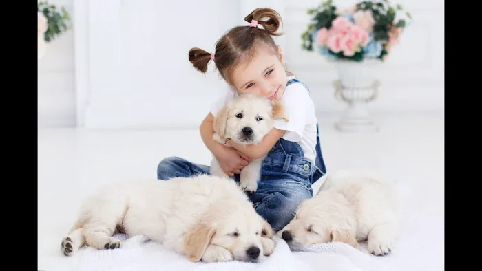 Nessy's Puppies of Kendall Picture 5