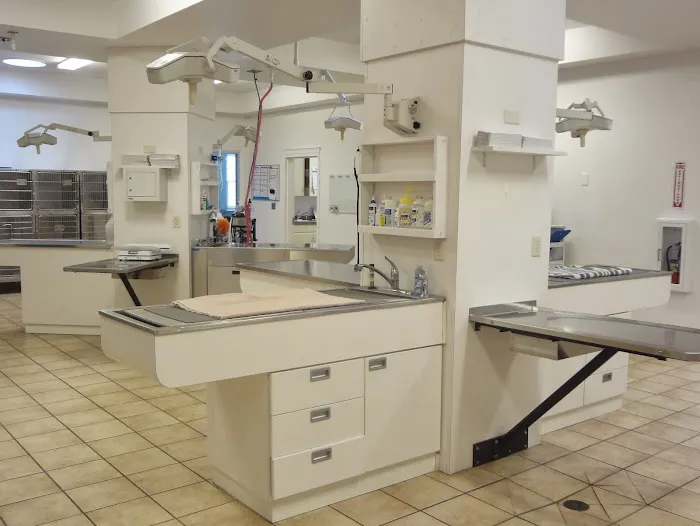 VCA Willow Mill Animal Hospital Picture 3